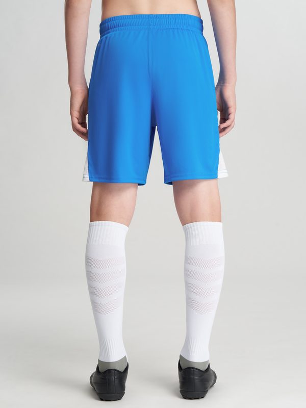 Шорты для мальчиков PUMA Teamliga26, Голубой 3