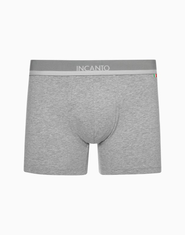 Удлиненные боксеры INCANTO BU1173