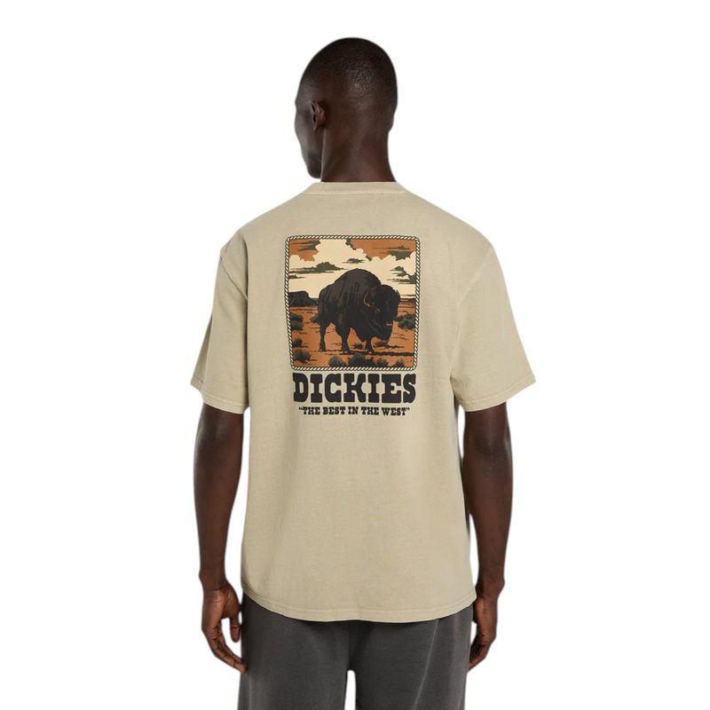 DARRTOWN SS TEE