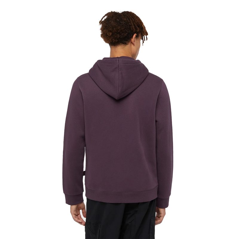 ICON LOGO HOODIE 2