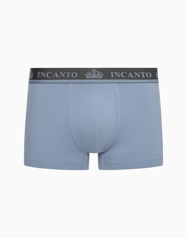 Боксеры INCANTO BU1235