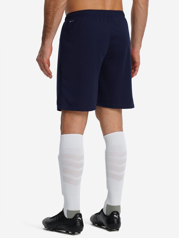 Шорты мужские PUMA Timerise, Синий 3