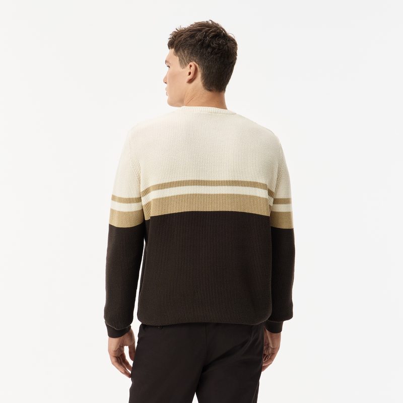 Мужской свитер Lacoste в полоску классического кроя 2
