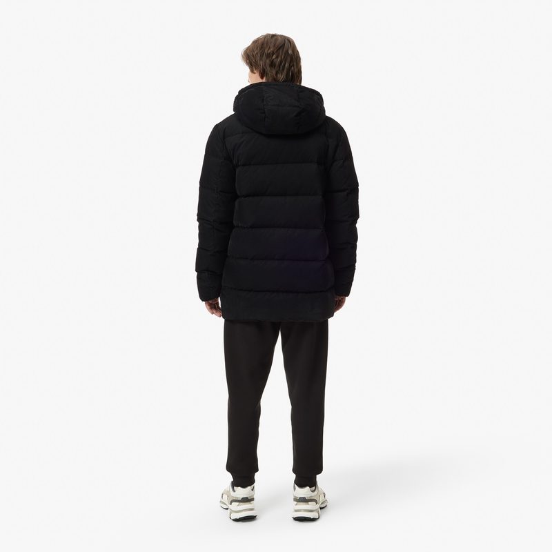 Мужская куртка Lacoste 2