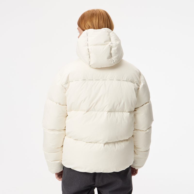 Мужская куртка Lacoste 2