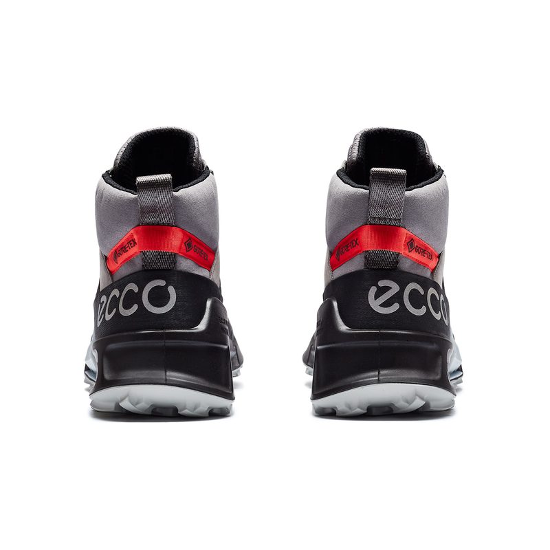 BIOM 2.1 X MOUNTAIN 4