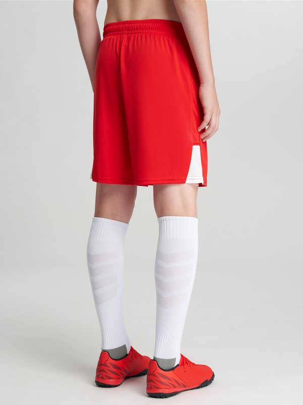 Шорты для мальчиков PUMA Teamliga26, Красный 3