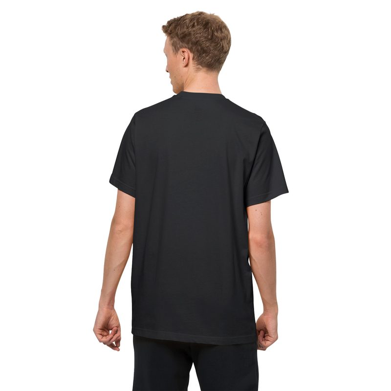 Essential T 2