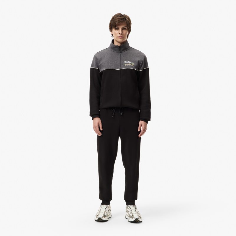 Мужские хлопковые спортивные брюки Lacoste приталенного кроя