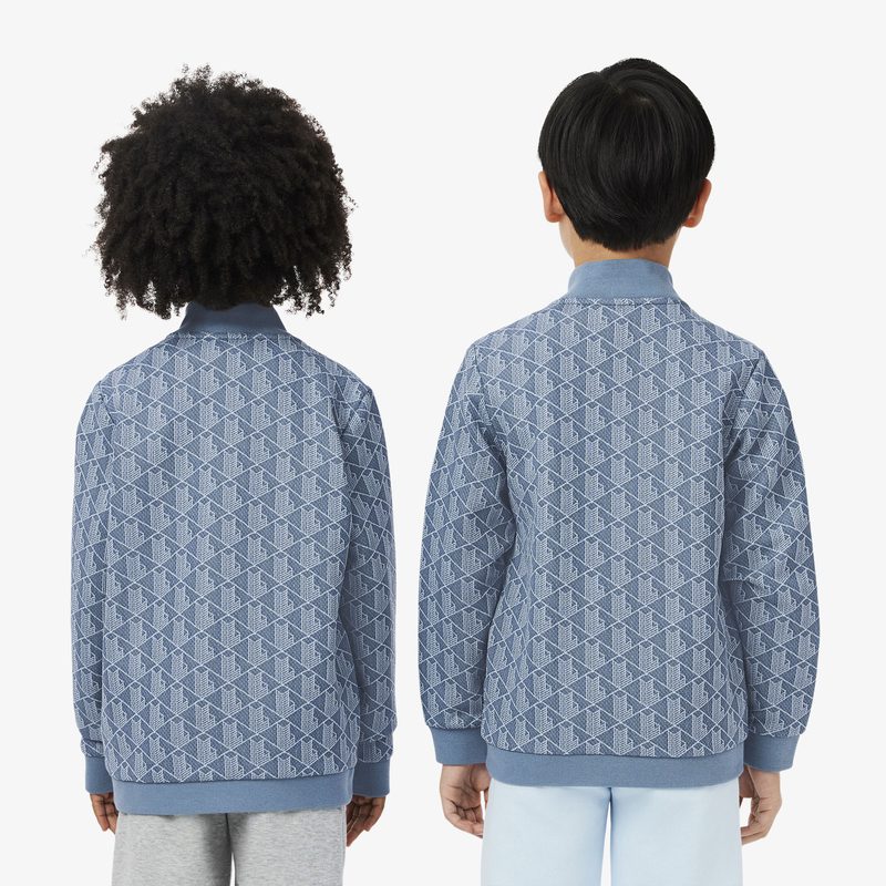 Детская толстовка Lacoste Paris Monogram с высоким воротом и застежкой-молнией 2