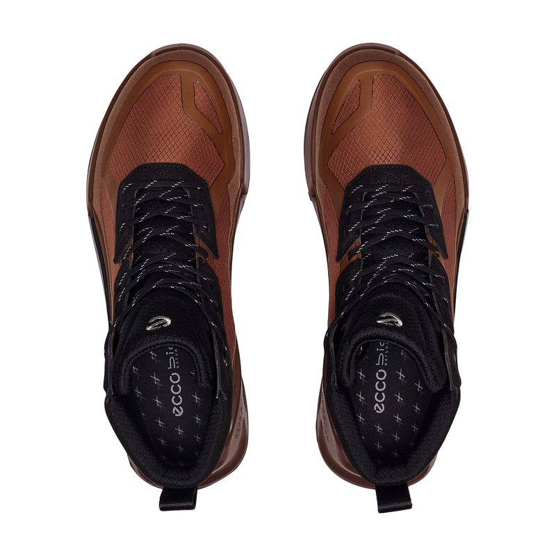 BIOM 2.1 X MOUNTAIN 3
