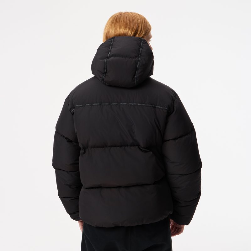 Мужская куртка Lacoste 2