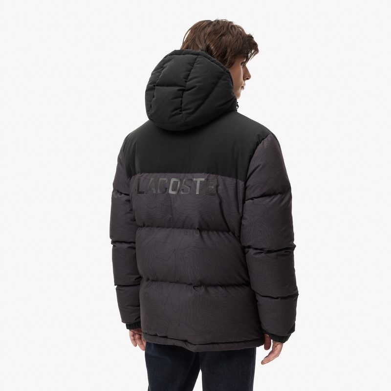 Мужская куртка Lacoste 2