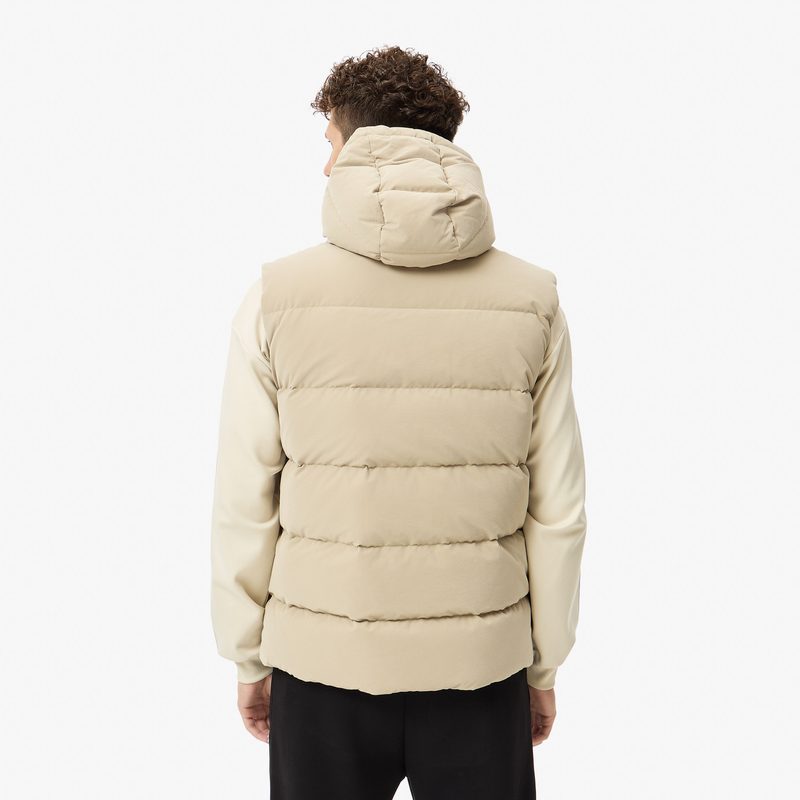 Мужской жилет Lacoste 2