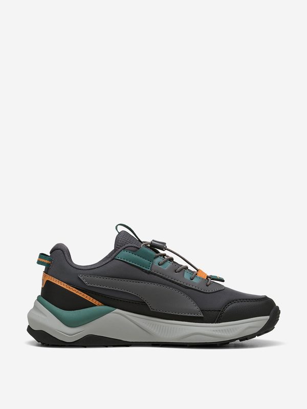 Кроссовки утепленные детские PUMA Evolve 2.0 Trail Lo, Серый 3