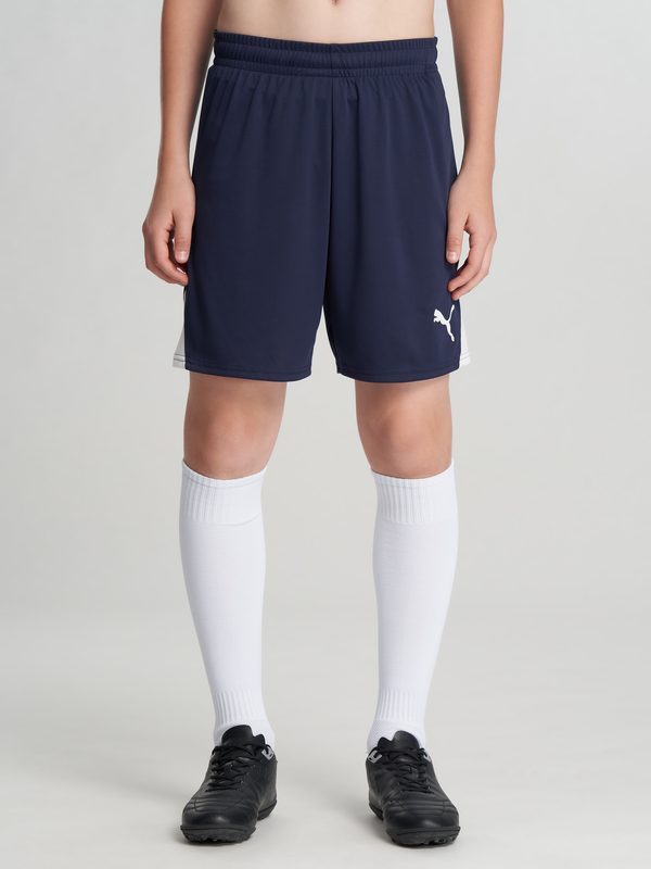 Шорты для мальчиков PUMA Teamliga26, Синий 2