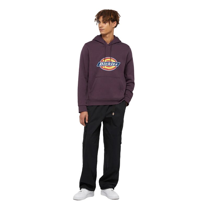 ICON LOGO HOODIE 5