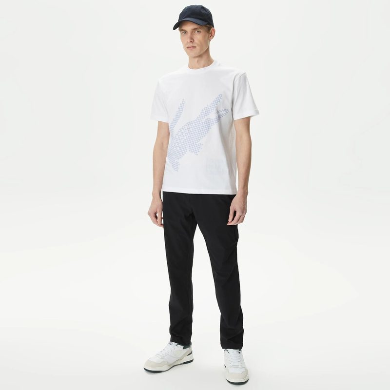Мужские брюки Lacoste стандартного кроя