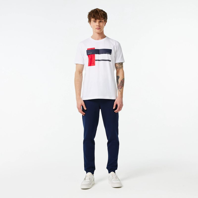 Мужские брюки Lacoste для спорта стандартного кроя 5