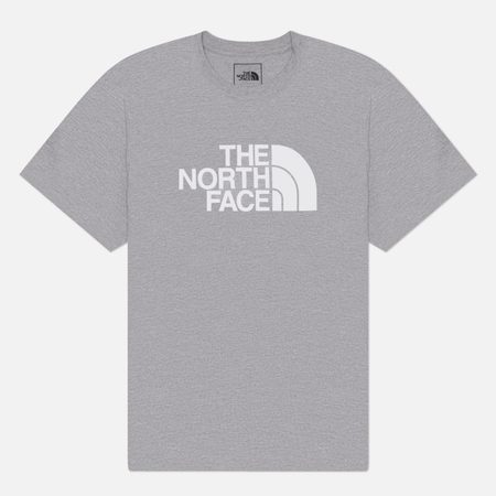 Мужская футболка The North Face Evolution Half Dome Regular, цвет серый