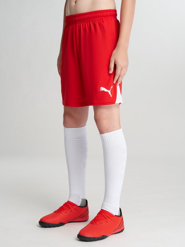 Шорты для мальчиков PUMA Teamliga26, Красный 2