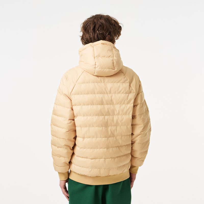 Мужская стёганая куртка Lacoste 2