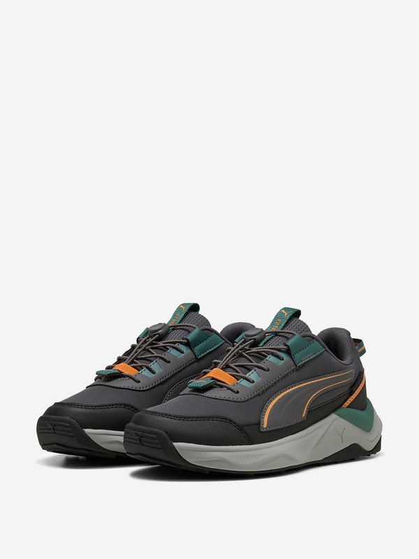 Кроссовки утепленные детские PUMA Evolve 2.0 Trail Lo, Серый 2