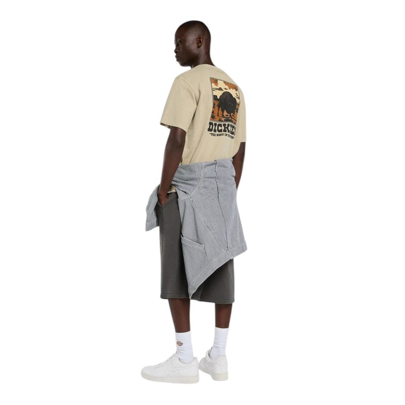 DARRTOWN SS TEE 4