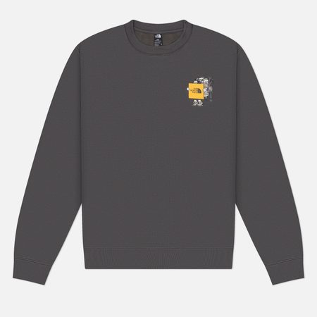 Мужская толстовка The North Face Gear Up Get Out Relaxed, цвет серый